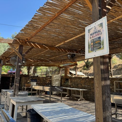 Mangal Fotoğraf 3