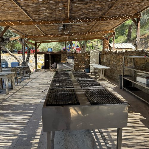 Mangal Fotoğraf 1