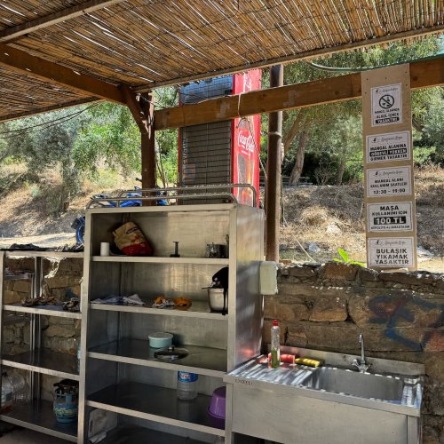 Mangal Fotoğraf 4