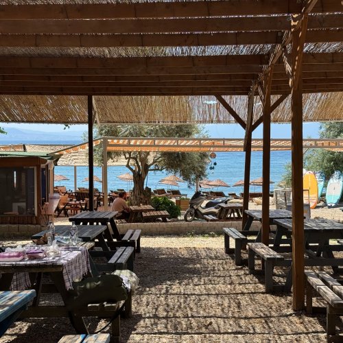 Piknik Alanı Fotoğraf 2