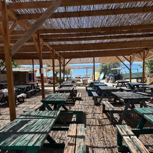 Piknik Alanı Fotoğraf 1